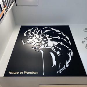 House-of-Wunders-41